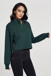 Half-zip Stand-up Collar Sweatshirt by bornfocus