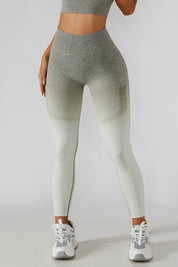 Ombre Seamless Butt Lifting Leggings by bornfocus