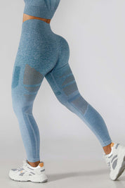 Ombre Seamless Butt Lifting Leggings by bornfocus