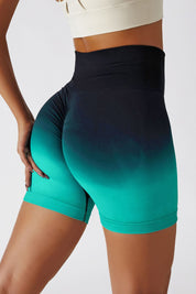 Ombre Seamless Scrunch Butt Shorts by bornfocus