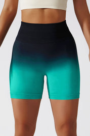 Ombre Seamless Scrunch Butt Shorts by bornfocus