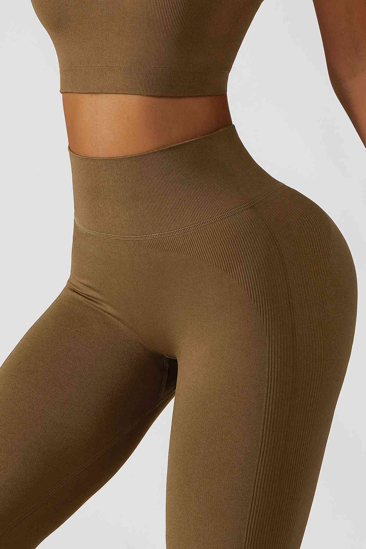 Ribbed High Rise Seamless Leggings by bornfocus