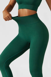 Ribbed High Rise Seamless Leggings by bornfocus