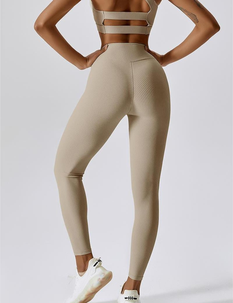 Ribbed V-Waist Butt Sculpting Leggings by bornfocus