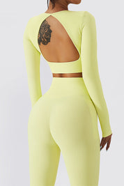 Seamless Backless Crop Long Sleeve Top by bornfocus