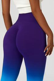 Ombre Seamless Scrunch Butt Legging by bornfocus