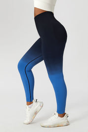 Ombre Seamless Scrunch Butt Legging by bornfocus