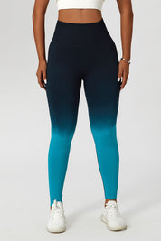 Ombre Seamless Scrunch Butt Legging by bornfocus