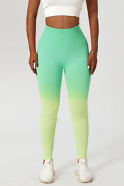 Ombre Seamless Scrunch Butt Legging by bornfocus